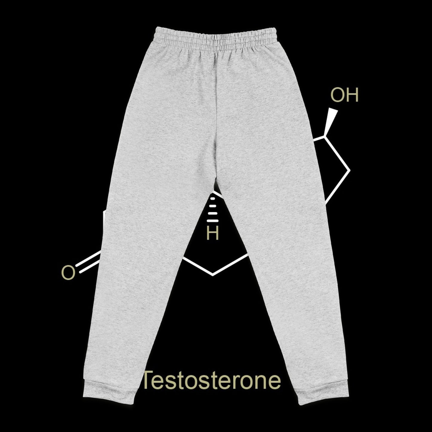 Testosterone Embroidered Sweats