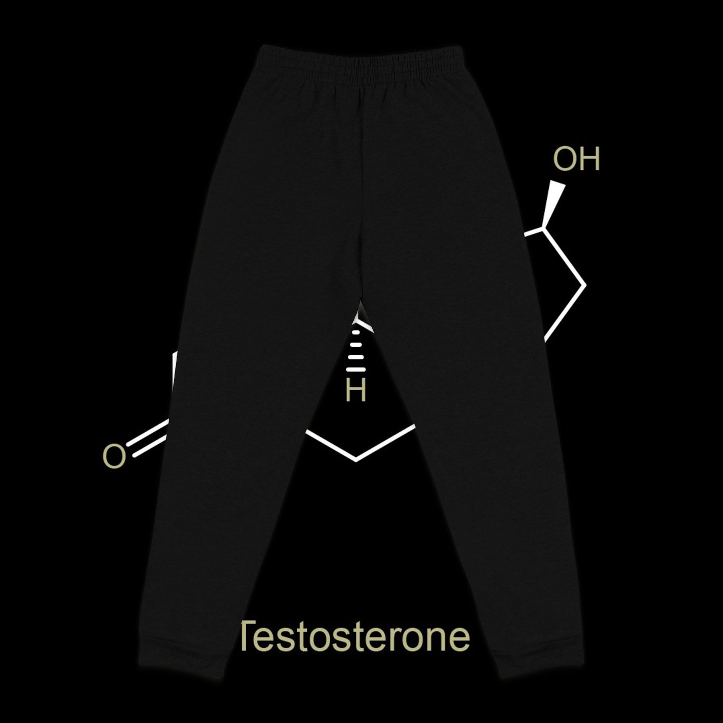 Testosterone Embroidered Sweats